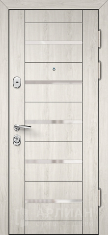 Фото «Входная дверь в загородный дом утепленная с виноритом №27»